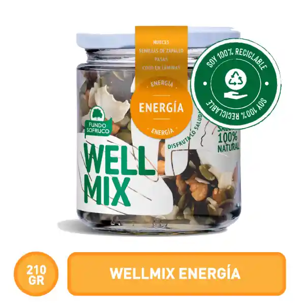 Well Mix Frutos Secos Energía