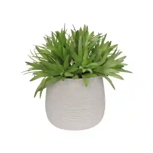 Maceta Texturada Con Planta Casaideas