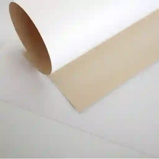 Cartón Forrado 77 x 110 cm