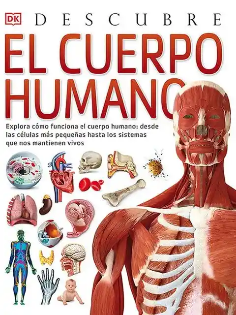 Descubre el Cuerpo Humano