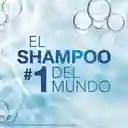 Head & Shoulders Shampoo Control Grasa