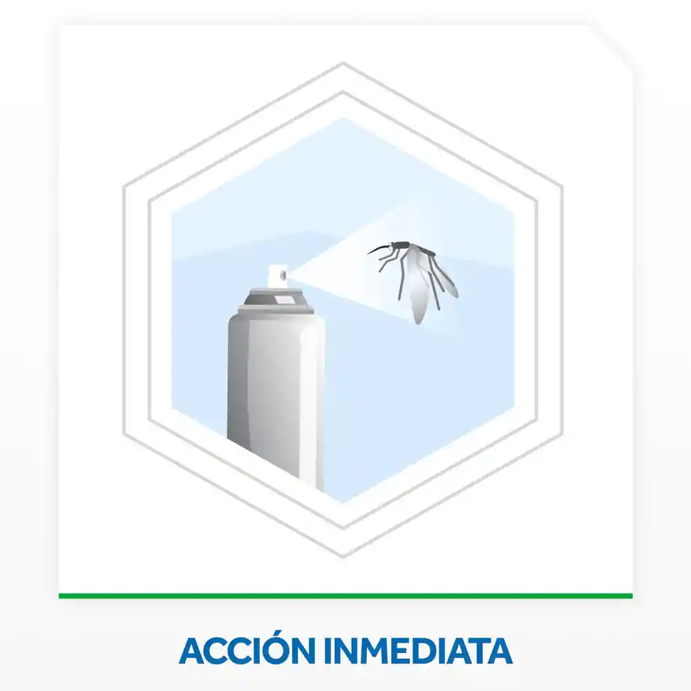 Raid Insecticida Mata Moscas Mosquitos