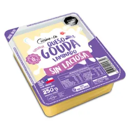 Cuisine & Co Queso Gouda Laminado Sin Lactosa