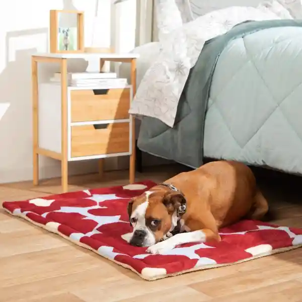 Alfombra Acolchada Mascotas Con Estampado 70 x 100 cm Casaideas