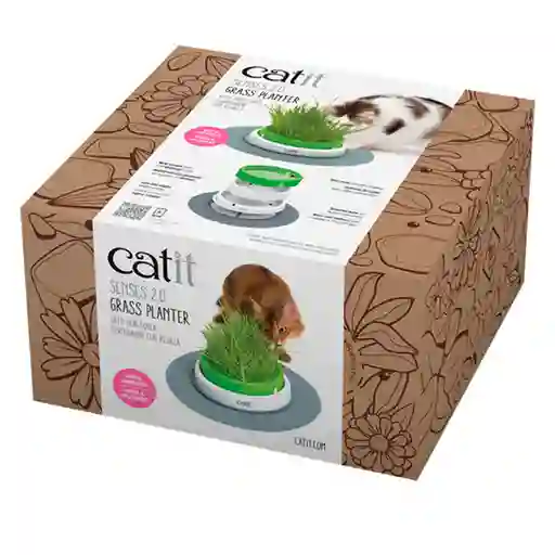 CatIt Germinador de Pasto Para Gatos