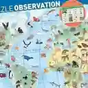 Djeco Rompecabezas Observación Mundo de Animales