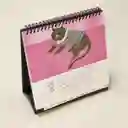 Calendario de Escritorio Ilustrado 2026 Casaideas