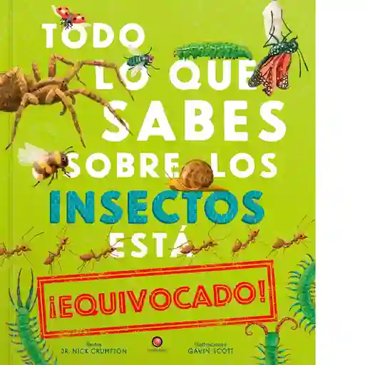 Todo lo Que Sabes Sobre Los Insectos Está Equivocado