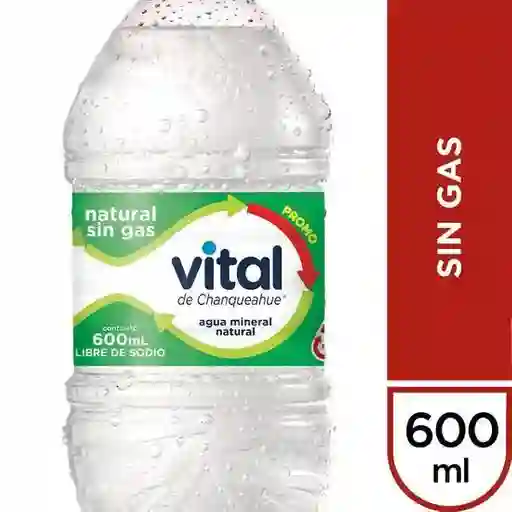 Agua Minera Sin Gas 600Cc