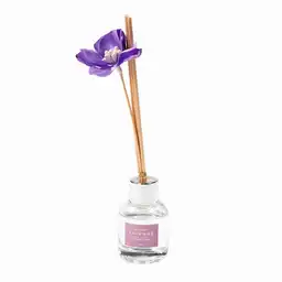 Difusor de Aroma 3D Lavanda Miniso 