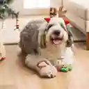 Juguete Para Mascotas Navideño 37 cm Casaideas