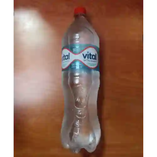 Agua Vital Sin Gas 1.6 L
