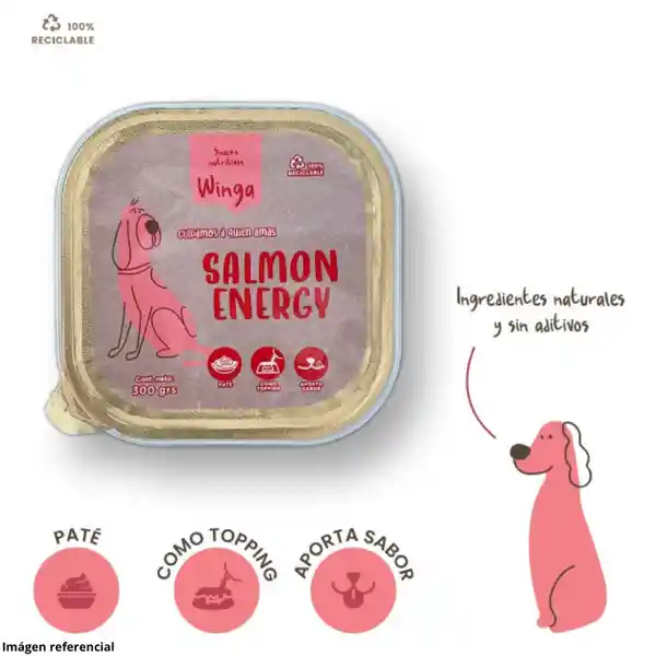 Winga Alimento Húmedo Perros Salmon Energy