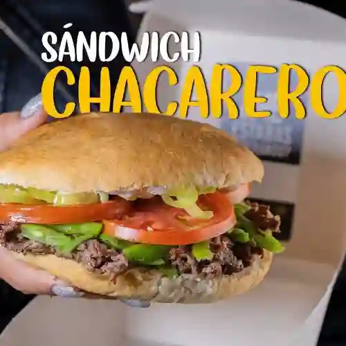 Sándwich Chacarero