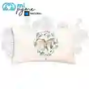 Estuche Aves de Chile Picaflor Chico Bendito