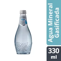 Puyehue Agua Mineral Con Gas