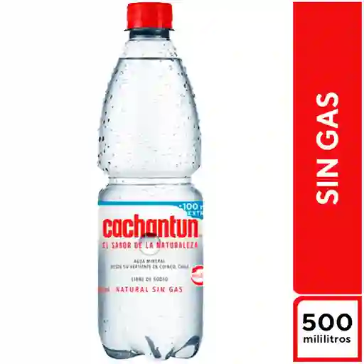Agua sin Gas Cachantum 500 Ml