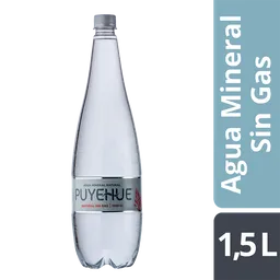 Puyehue Agua Mineral sin Gas