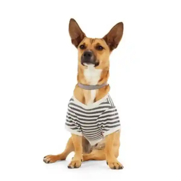Reddy Polera Símbolo de Amor y Paz  Perro Mediano