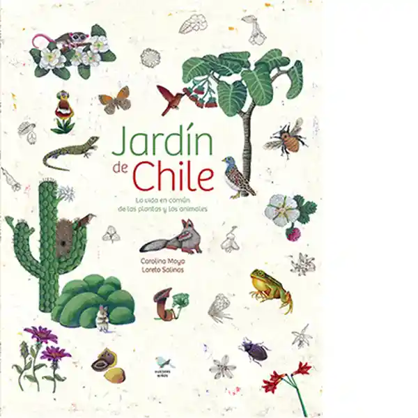 Jardín de Chile la Vida en Común de Las Plantas