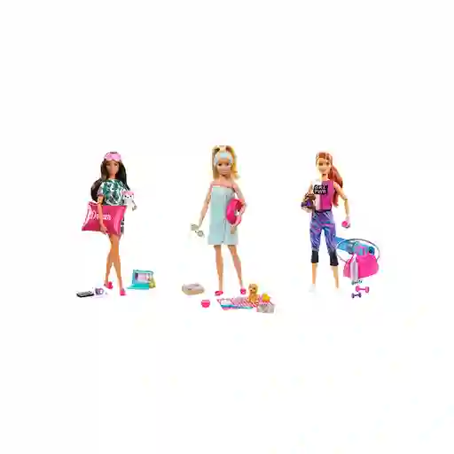 Barbie Muñeca Fashionista + Accesorios Variedad de Diseños