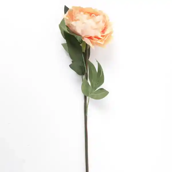 Flor S-Tmp-Cla Peonía Damas 75 cm Ripley Home