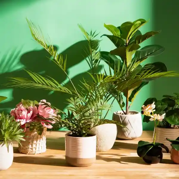 Maceta de Concreto Con Planta 63.5 cm Casaideas