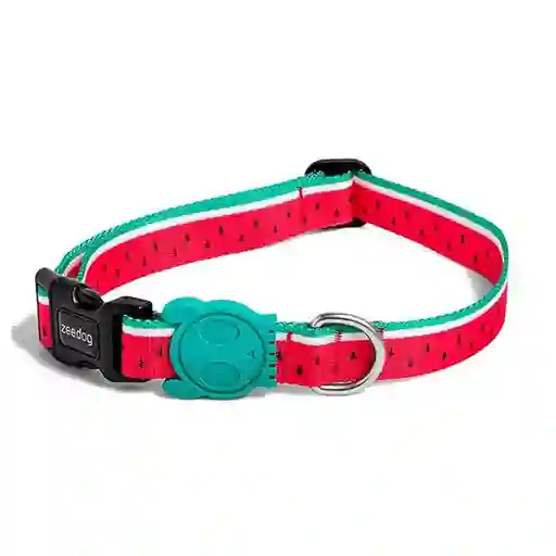 Zeedog Collar Perro Lola Large