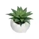 Maceta Redonda Con Cactus Decorativo Blanco