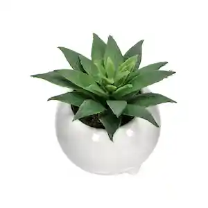 Maceta Redonda Con Cactus Decorativo Blanco