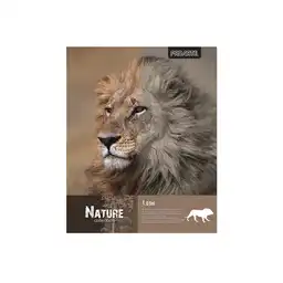 Proarte Cuaderno Universitario 100 Hojas Nature Surtido 7 mm