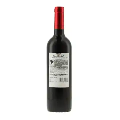 Falernia Vino Cab Sauv Res Bot 750 cc