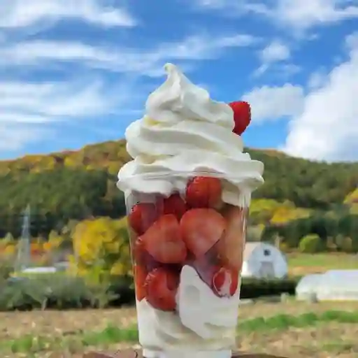 Vaso mediano 12 onzas