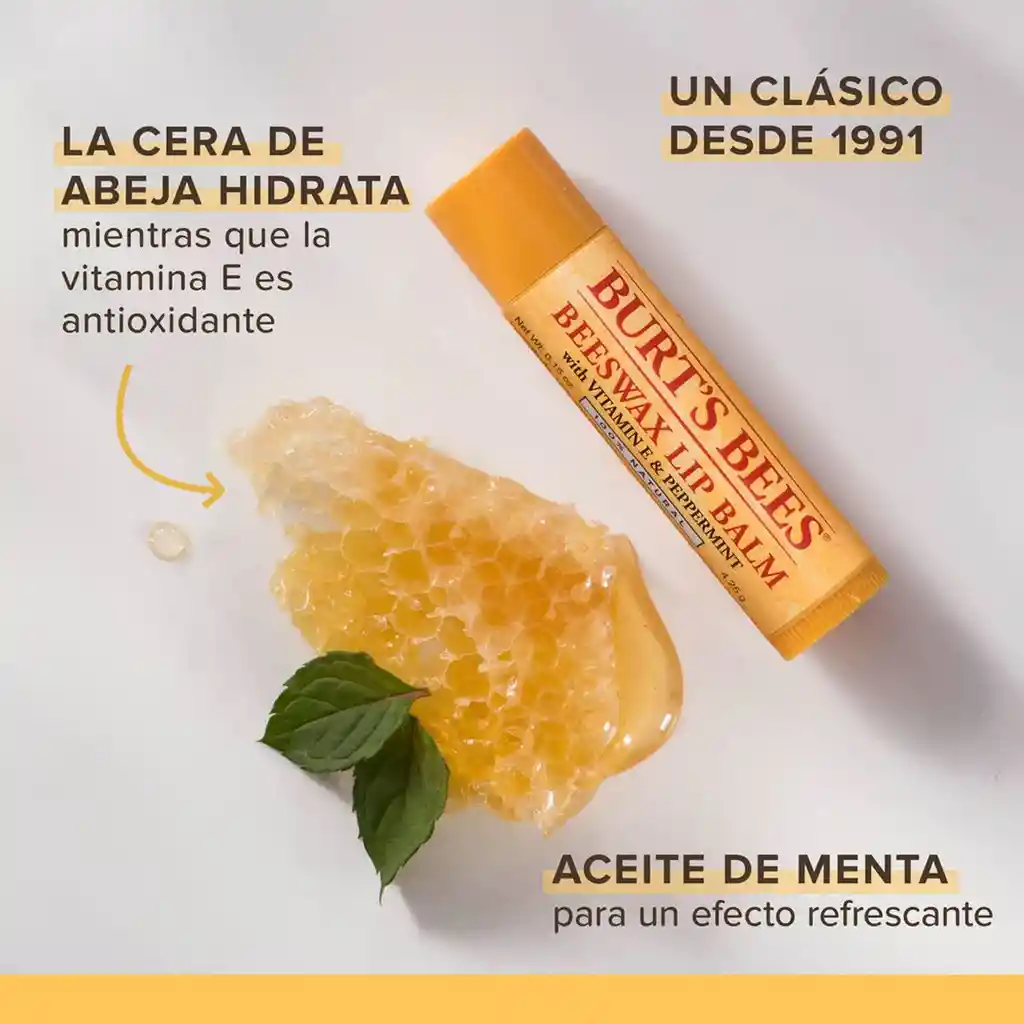 Blister Nutritivo De Cera De Abejas