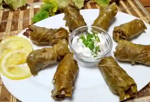 Hojas de Parra Veggie X15