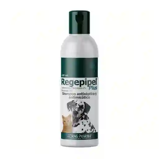 Drag Pharma Shampoo Para Perros y Gatos Regepipel Plus