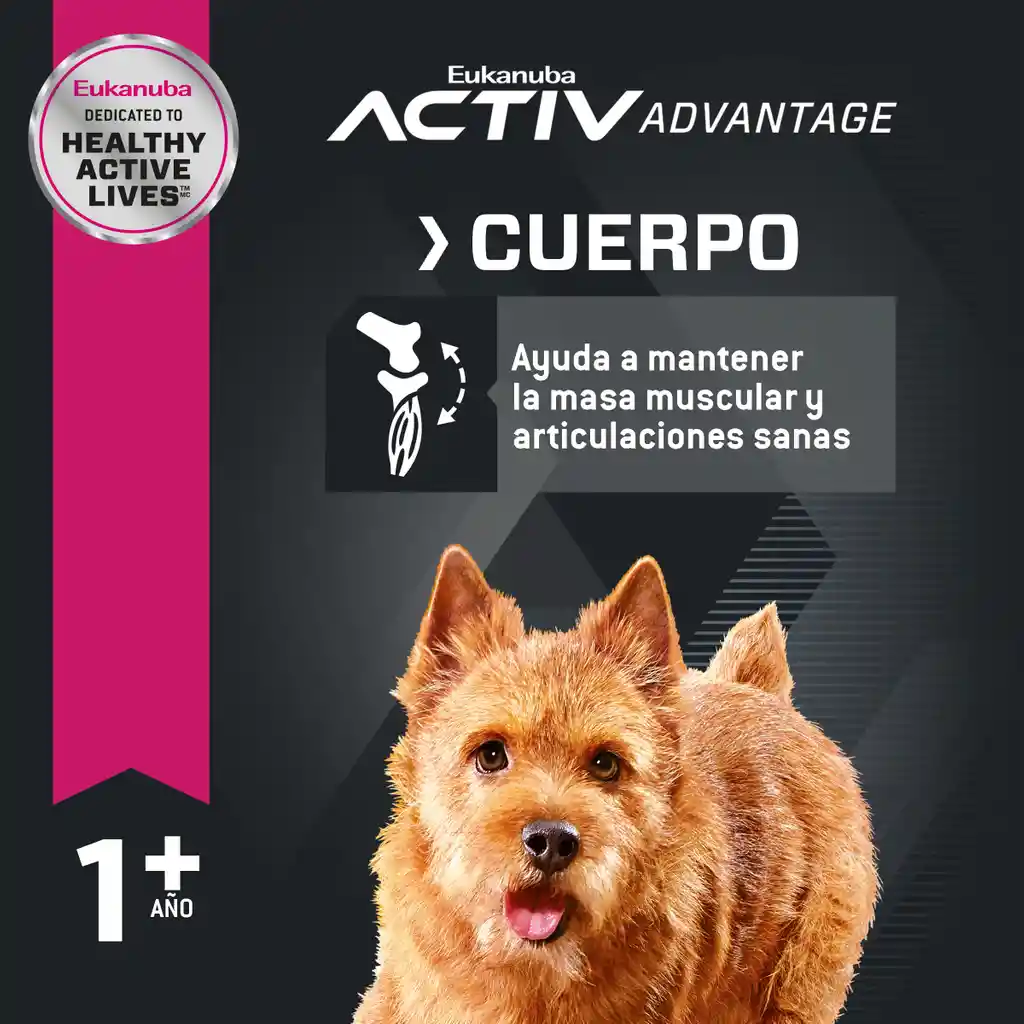 Eukanuba Alimento Para Perro Adulto Small 6.8 Kg