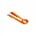 Correa Zee Dog Neopro Tangerine Mediana