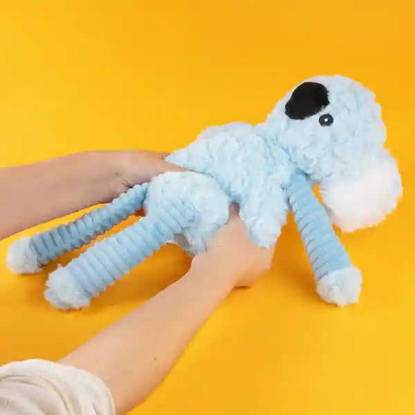 Peluche Osos Koala Miniso