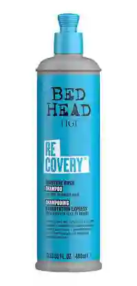 TIGI Bed Head Shampoo Recovery Cabello Seco