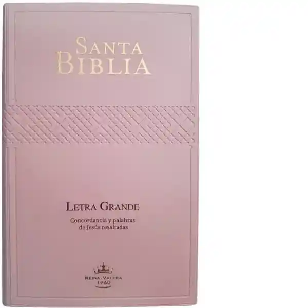 Biblia RVRO62CPJR Rosa - Sociedad Bíblica Chilena