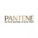 Pantene Champú Restauración con Aminoácidos Argán y Provitaminas