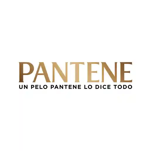 Pantene Champú Restauración con Aminoácidos Argán y Provitaminas