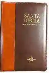 Biblia Marrón Claro Oscuro 66CLGPJRZTI