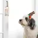 Set de Carta Para Santa Casaideas