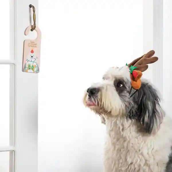 Set de Carta Para Santa Casaideas