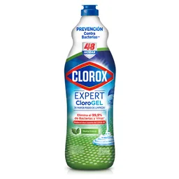 Clorox Cloro en Gel Aroma a Menta Fresca