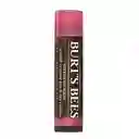 Burt's Bees Bálsamo Labial Color Hibiscus