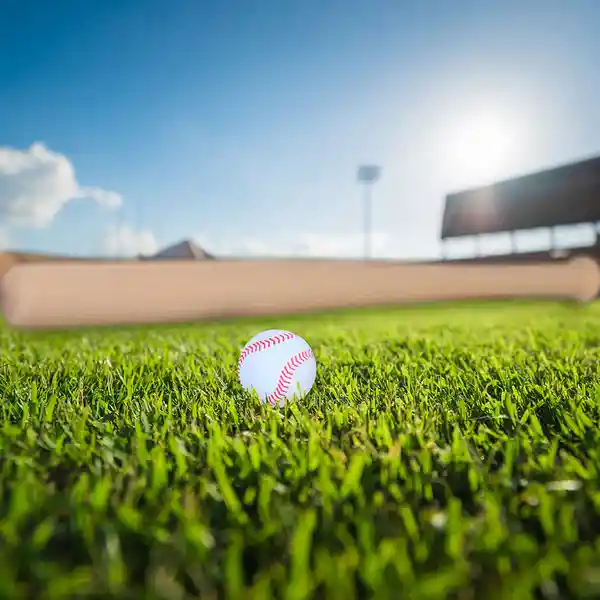 Set de Baseball Con Bate y Pelota Miniso