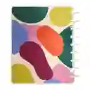 Cuaderno Planificador Anual A5 Con Discos Casaideas